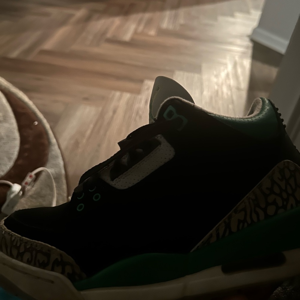 Jordan Black and Green Sneakers with Iconic Elephant Print